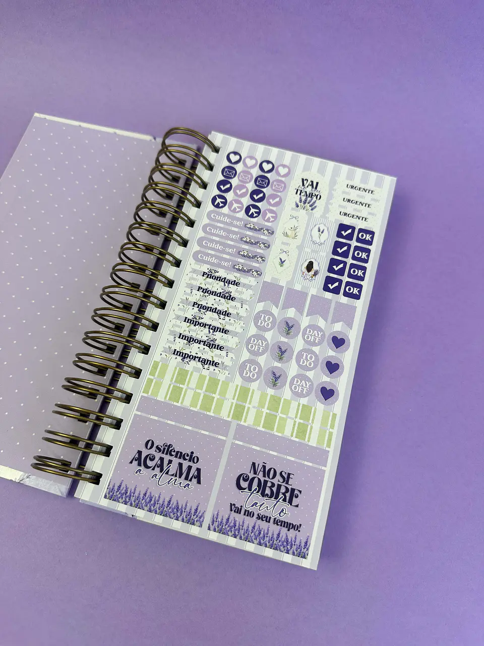 Arquivo Digital Lavanda Combo Encadernação 10
