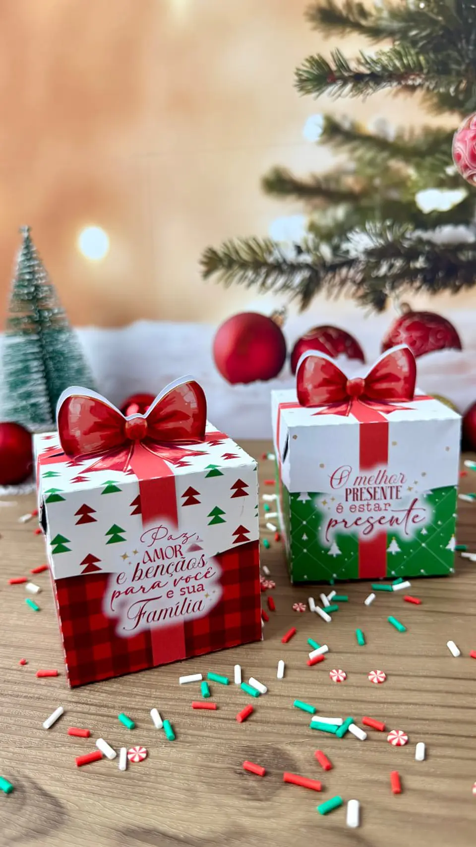 Arquivo Digital Coleção Natal Noel 2025 5
