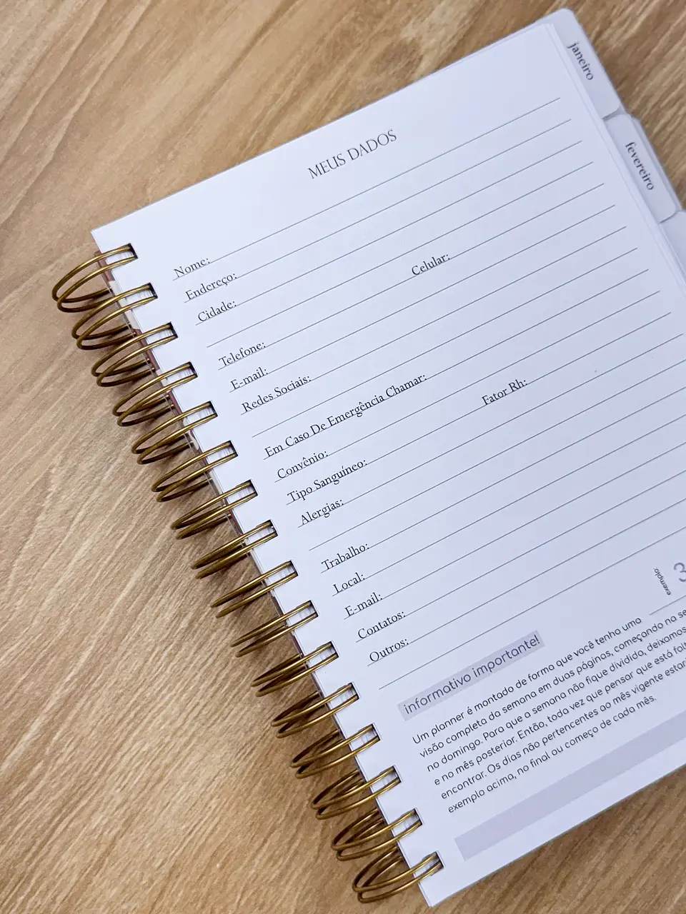 Arquivo Planner A5 Neutro 2026 10