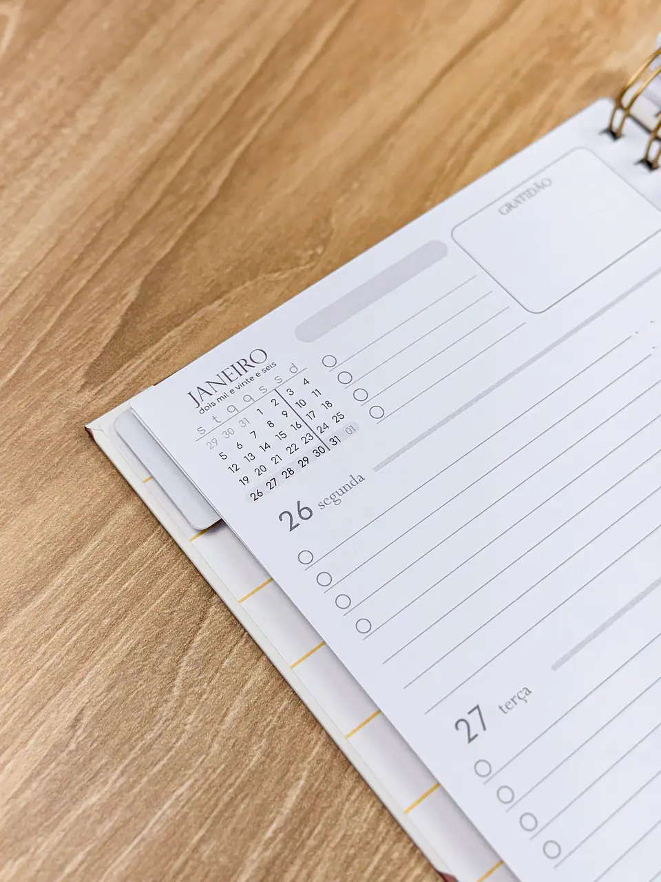 Arquivo Planner A5 Neutro 2026 13