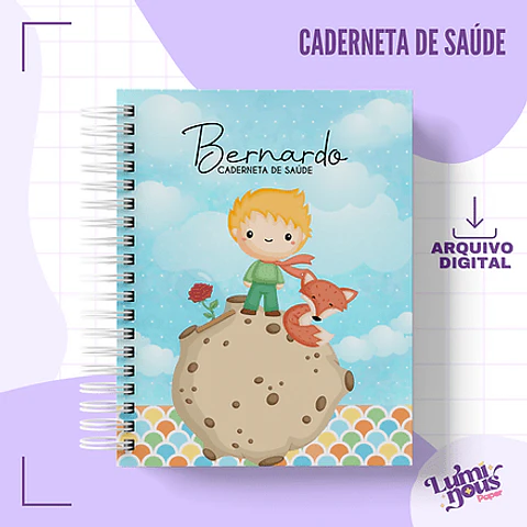 Arquivo Digital - Caderneta de Saúde Pequeno Príncipe (menino)