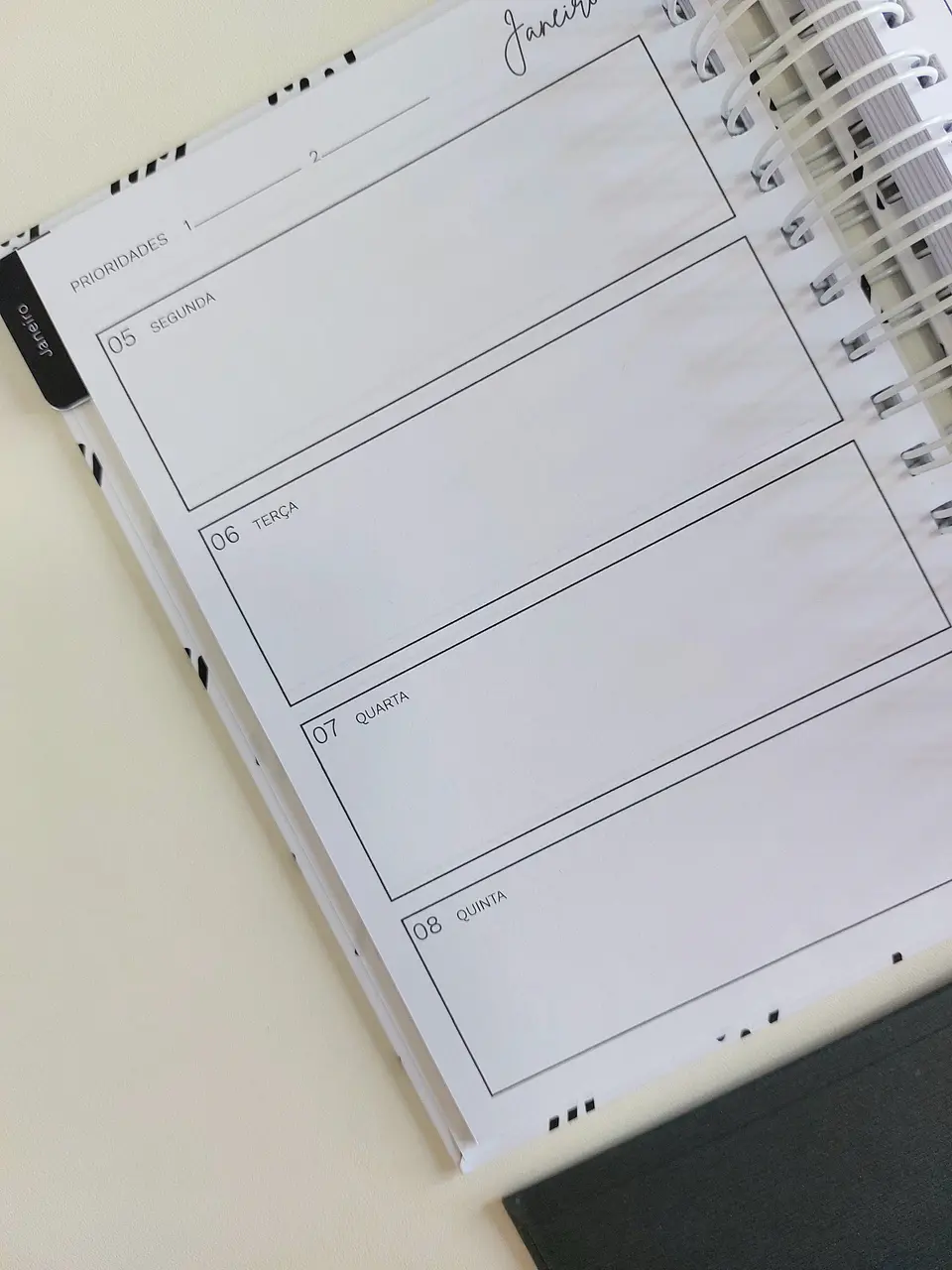 Arquivo Digital Coleção Linha Minimalista 2026 6