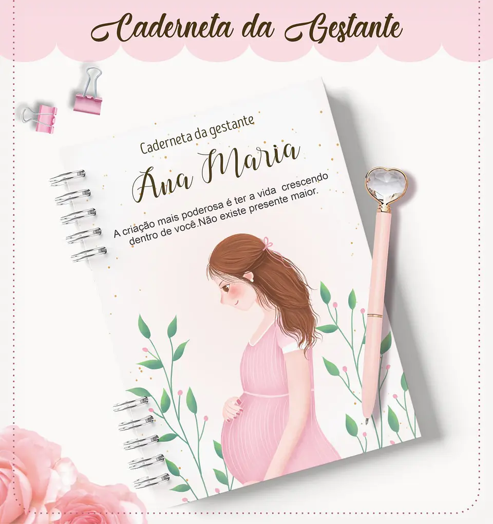 Arquivo Digital Caderneta da Gestante 4