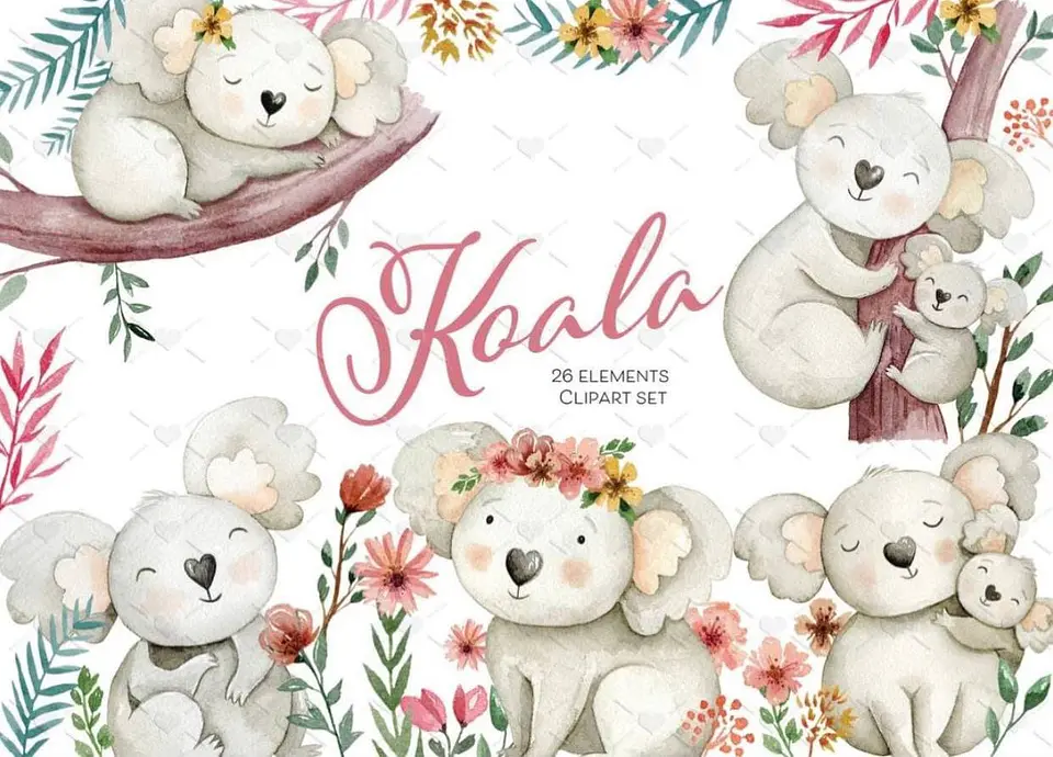 Kit Digital Koala 1