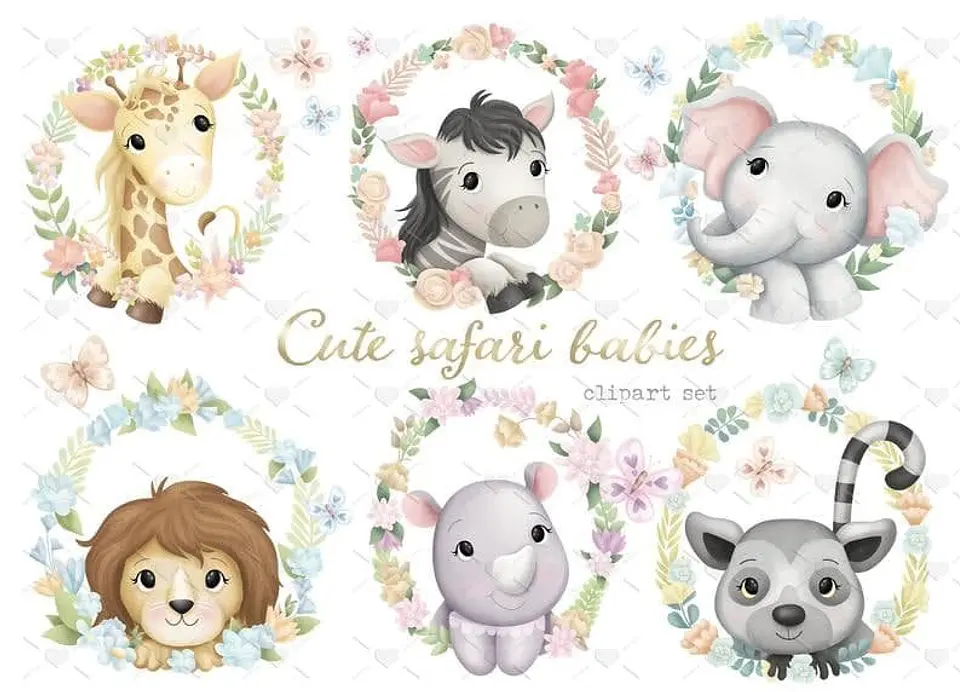 Safari Baby  Kit Digital 1