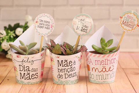 Arquivo de Corte Saia Suculenta Dia das Mães