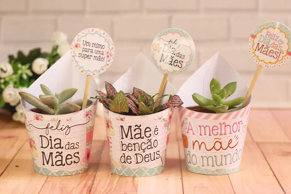 Arquivo de Corte Saia Suculenta Dia das Mães 1