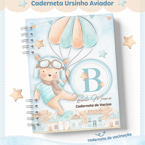 Arquivo Digital Caderneta Livro Do Bebê Aviador