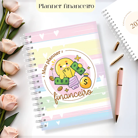 Arquivo Digital Planner Financeiro Feminino