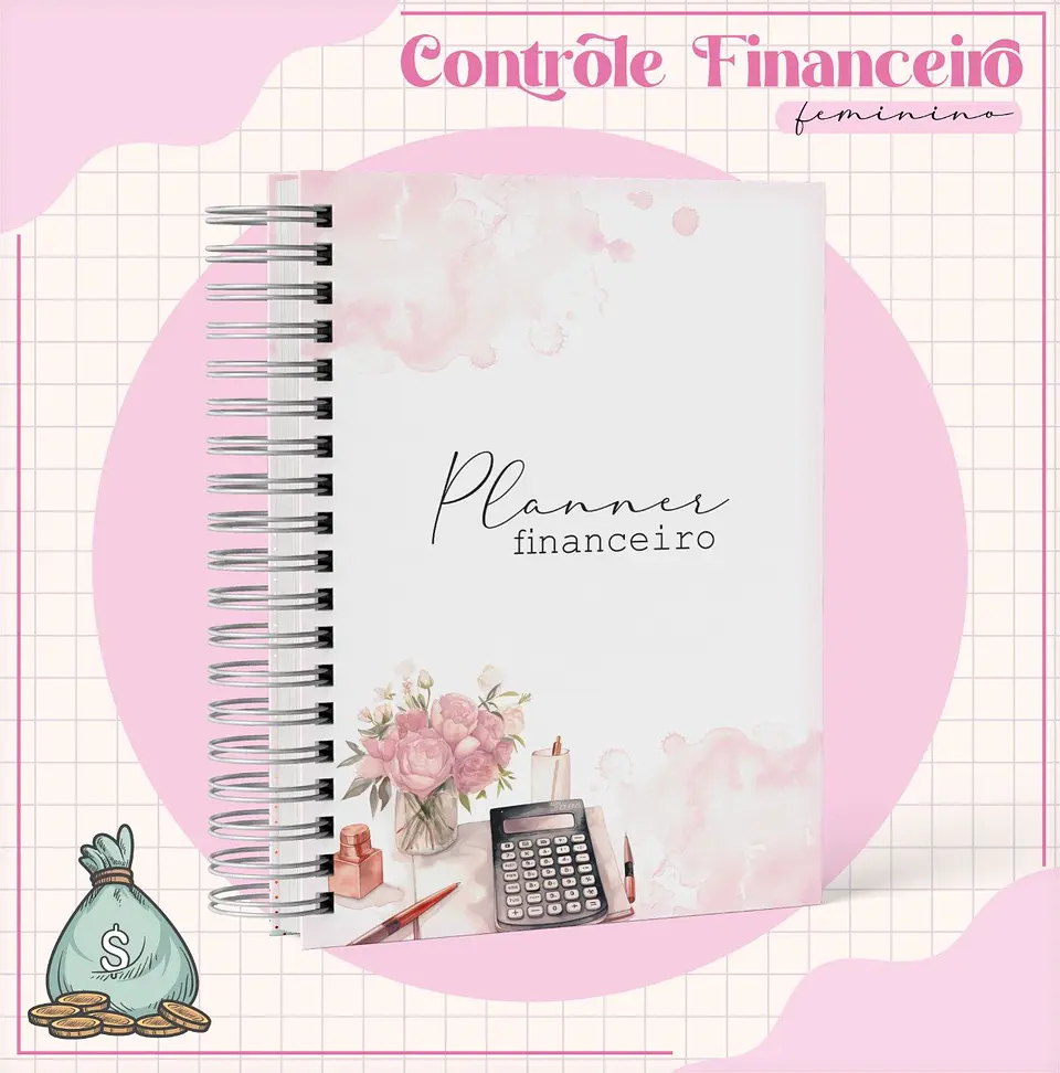 Arquivo Digital Planner Financeiro Feminino 3