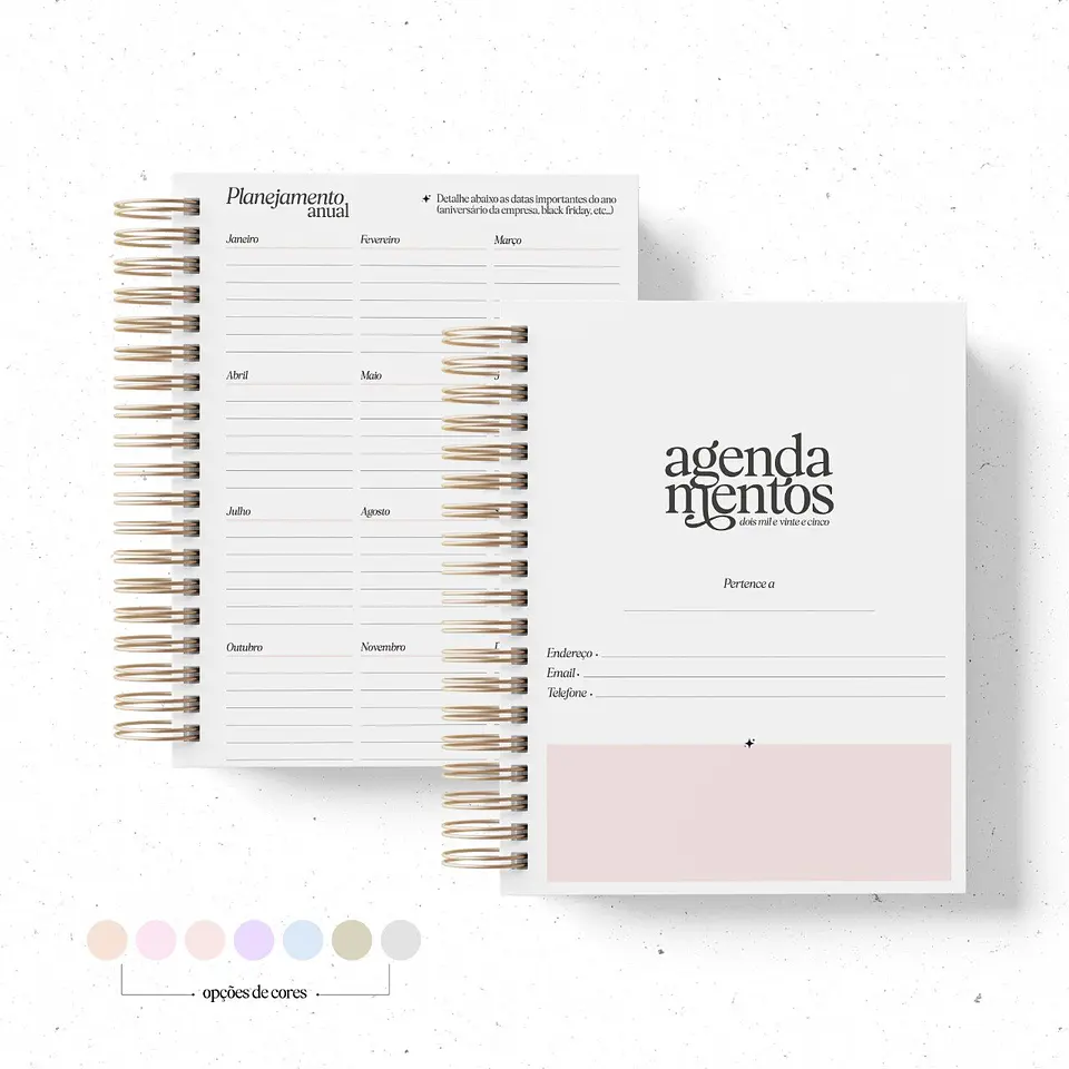 Arquivo Digital Combo Agendamentos & Profissões 2025 6