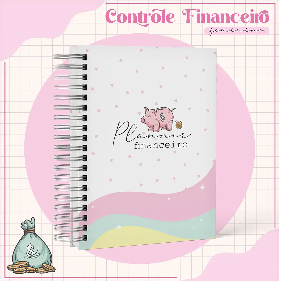 Arquivo Digital Planner Financeiro 1