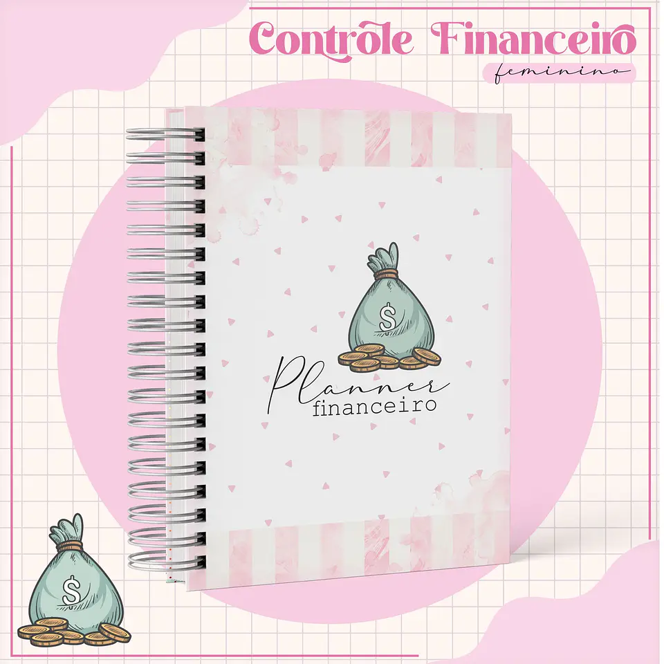 Arquivo Digital Planner Financeiro 3