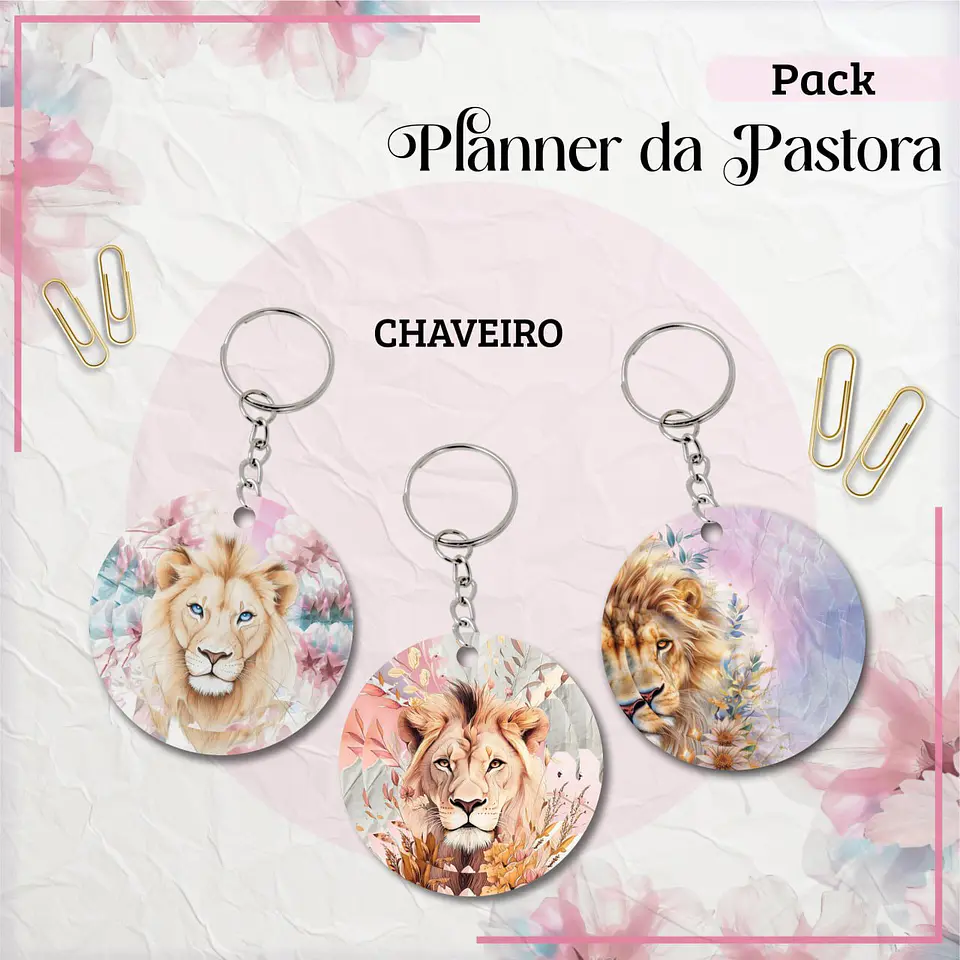 Arquivo Digital Planner Da Pastora 12