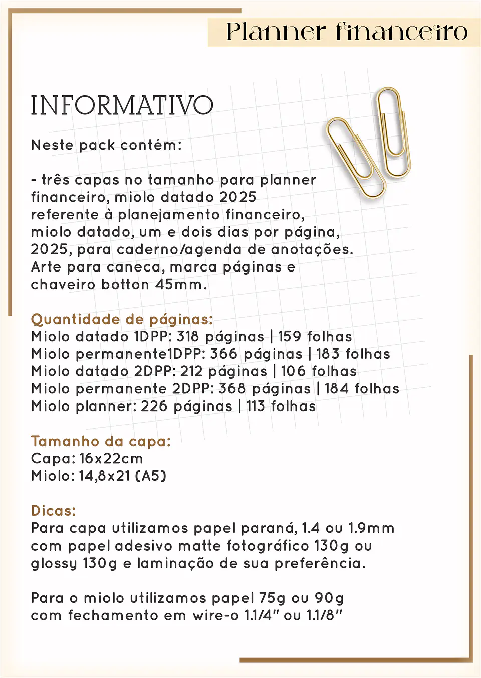 Arquivo Digital Planner Financeiro 2025 2
