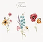 Kit Digital – Flores do Campo - Thumbnail 3