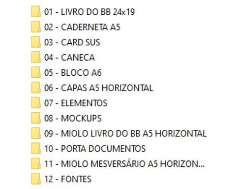Arquivo Digital Caderneta e Livro Bebê Ursinho Aviador Fofo