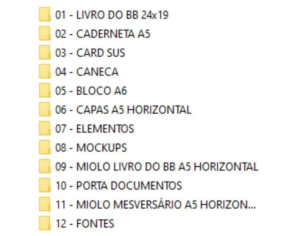 Arquivo Digital Caderneta e Livro Bebê Ursinho Aviador Fofo 2