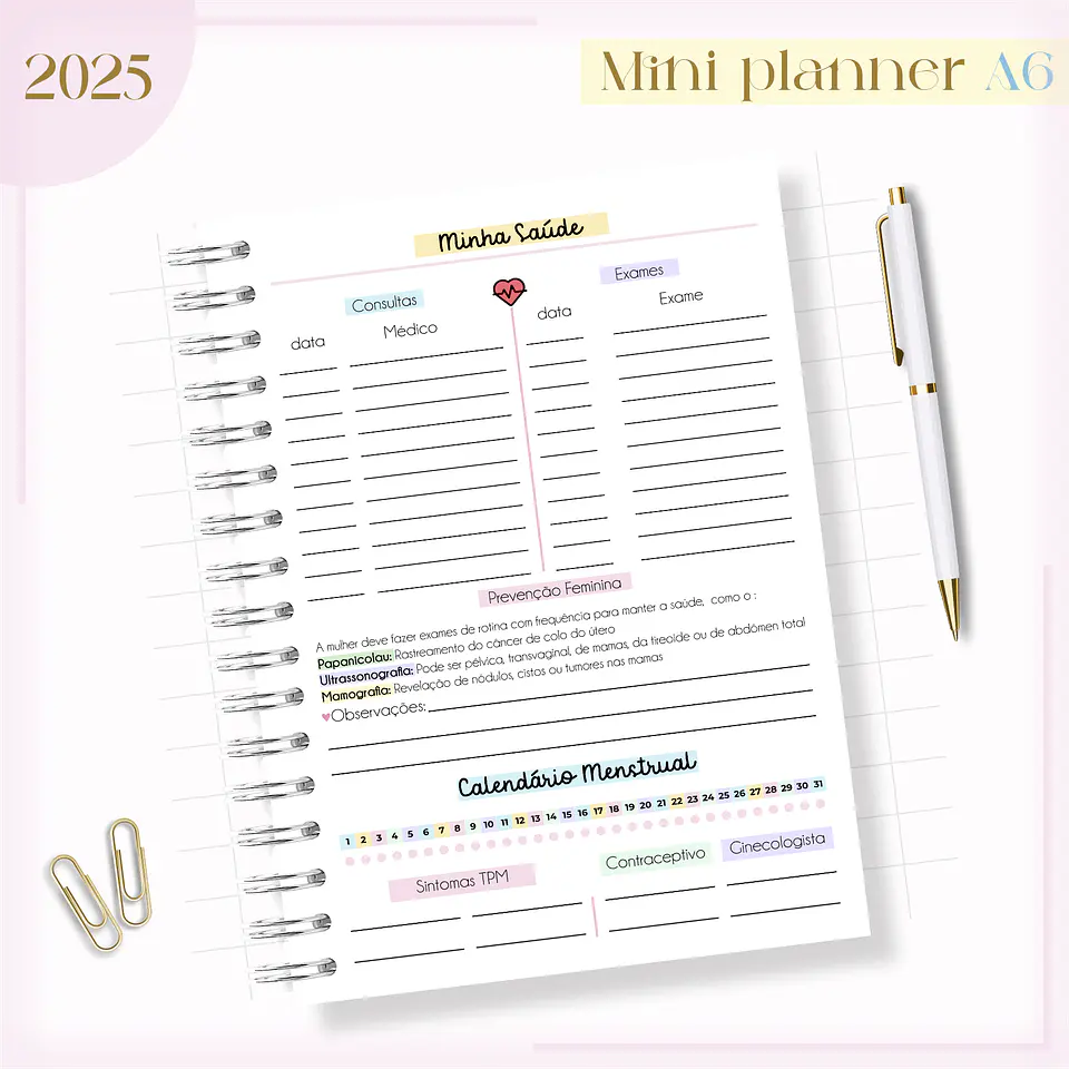 Arquivo Digital Mini Planner A6 5