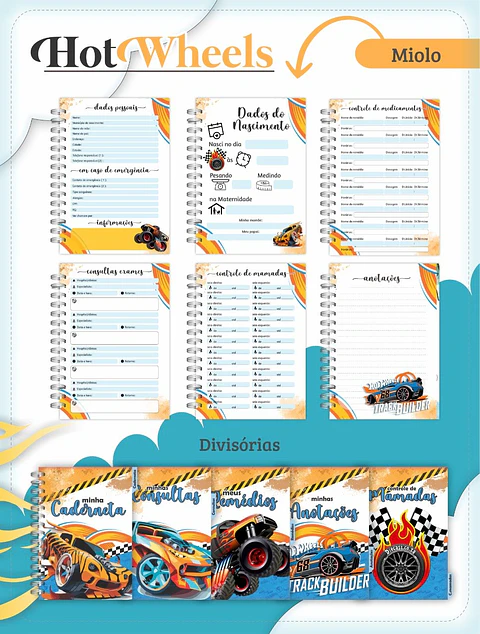 Arquivo Digital Caderneta e Cartão do Sus Hot Wheels