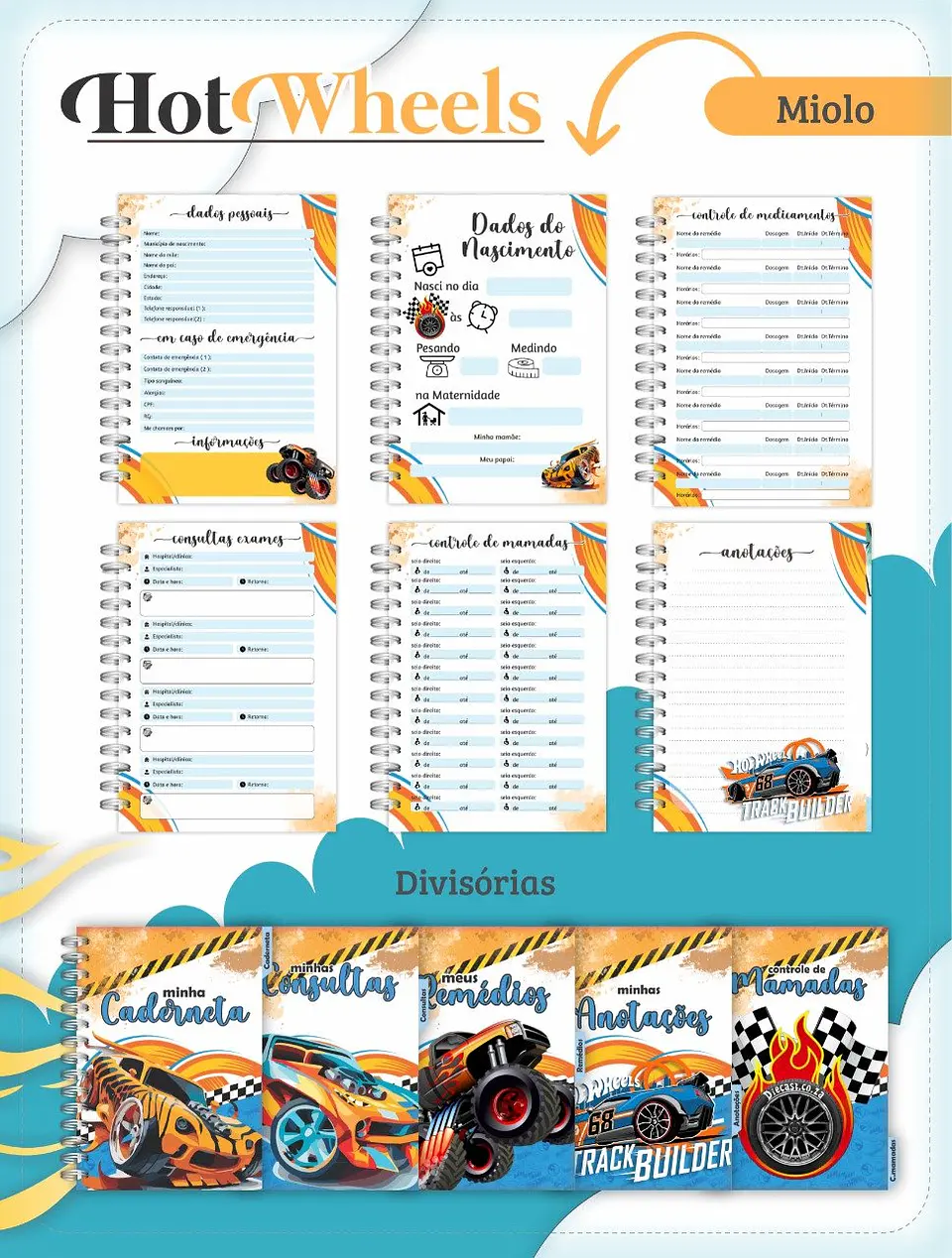 Arquivo Digital Caderneta e Cartão do Sus Hot Wheels 2