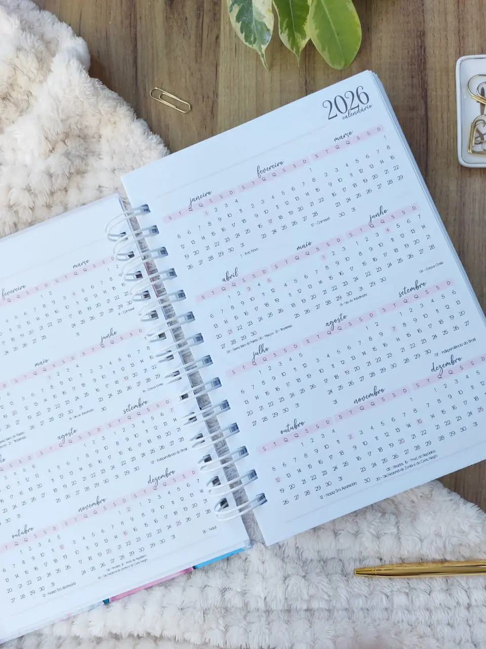 Coleção Harmonia 2025 - Agendamentos Agendas e Calendários 3