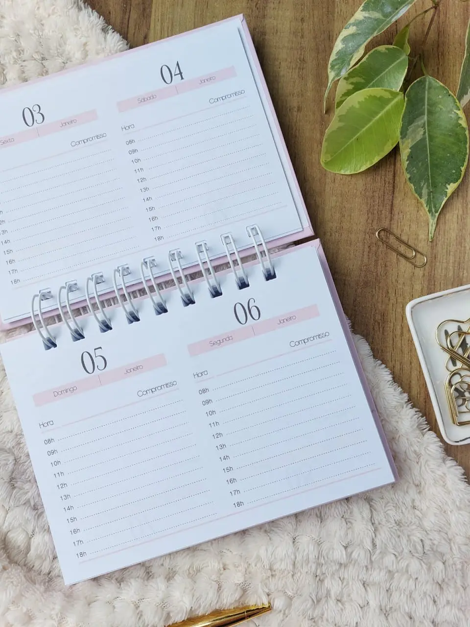 Coleção Harmonia 2025 - Agendamentos Agendas e Calendários 11