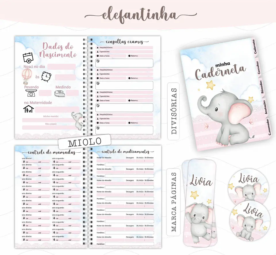 Arquivo Digital Caderneta e Cartão do Sus Elefantinha 2