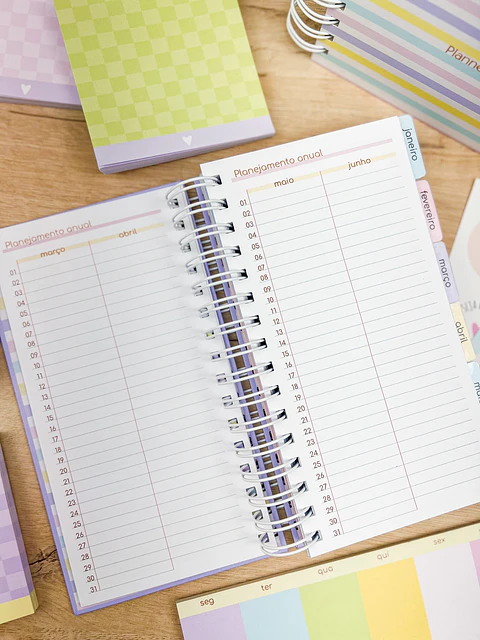 MIOLO Planner Slim Permanente