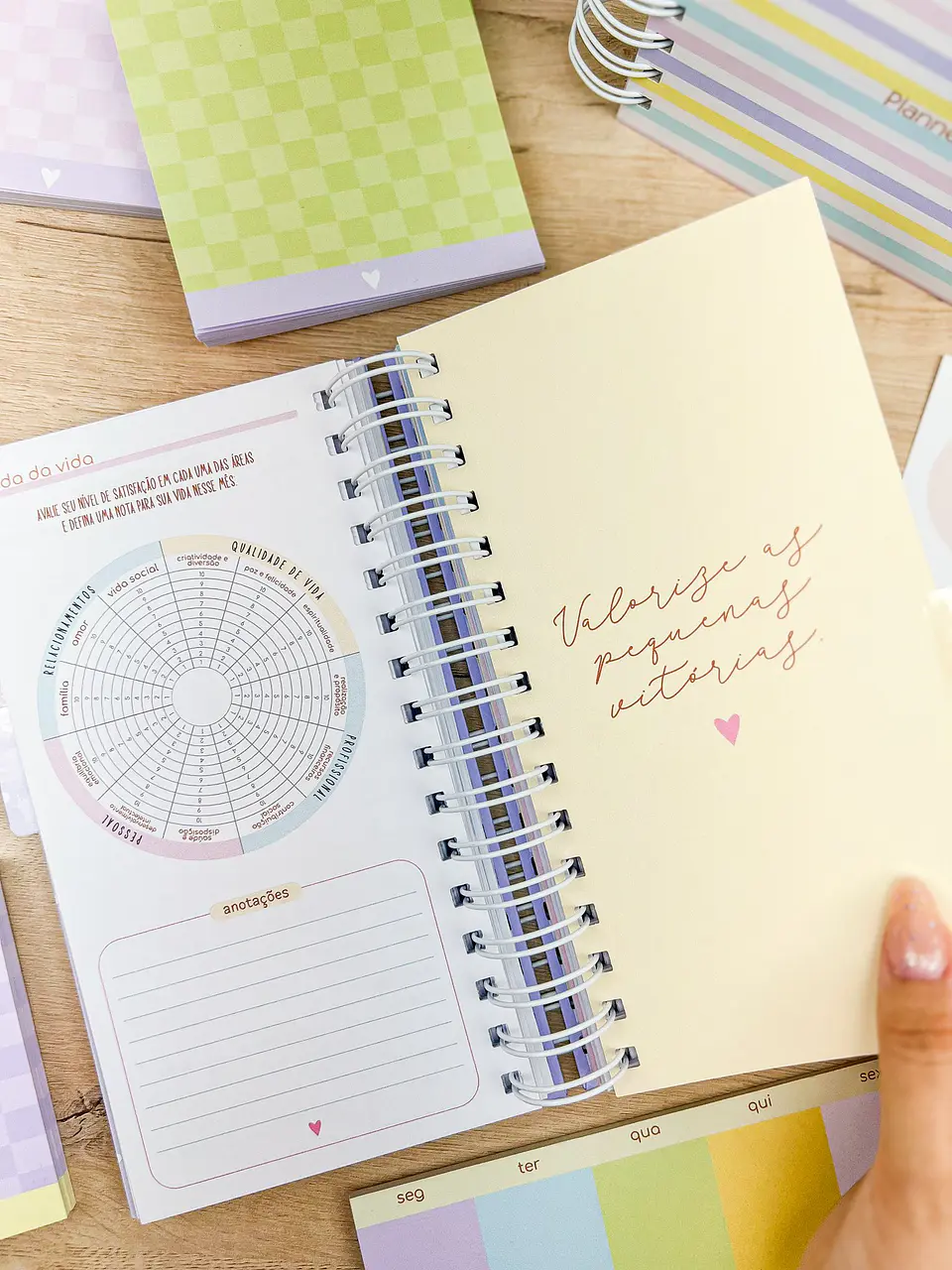 MIOLO Planner Slim Permanente 7