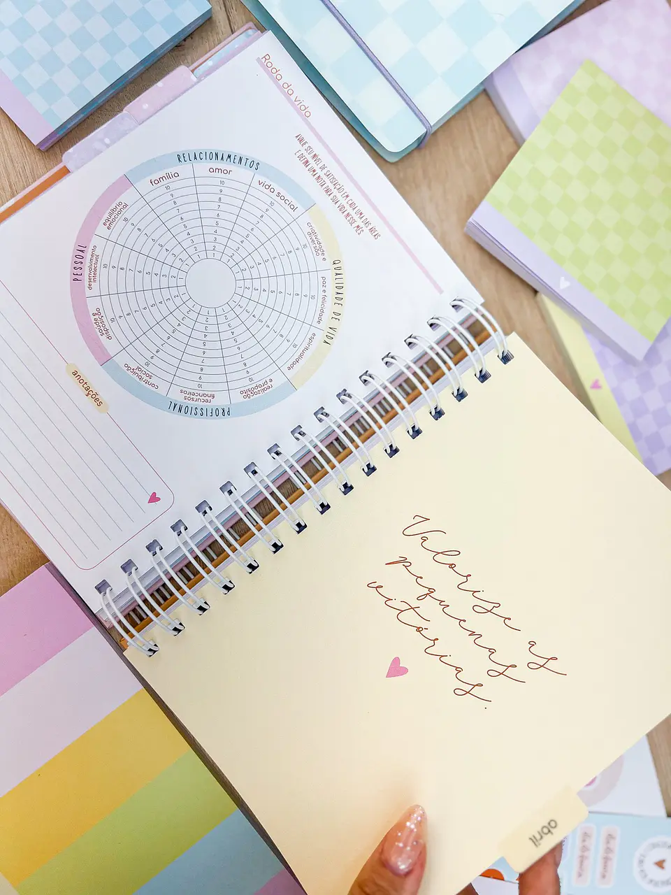 MIOLO Planner Master Permanente 6