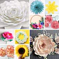 20 Moldes p/ Flores - Thumbnail 1