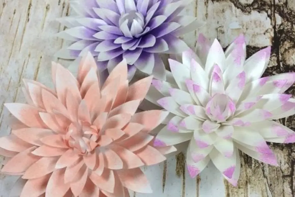 20 Moldes p/ Flores 6