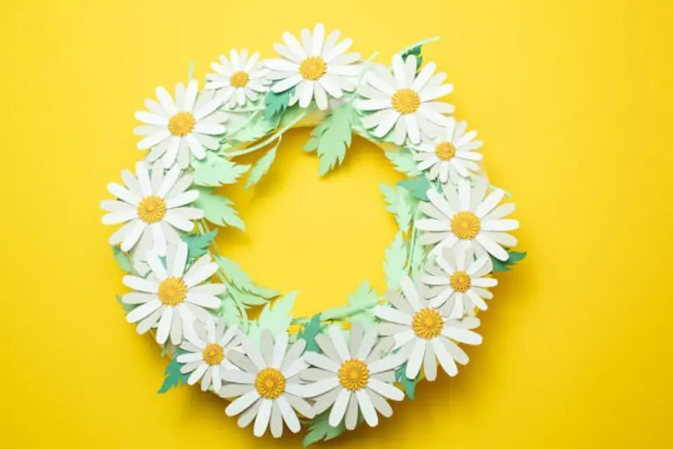 20 Moldes p/ Flores 8