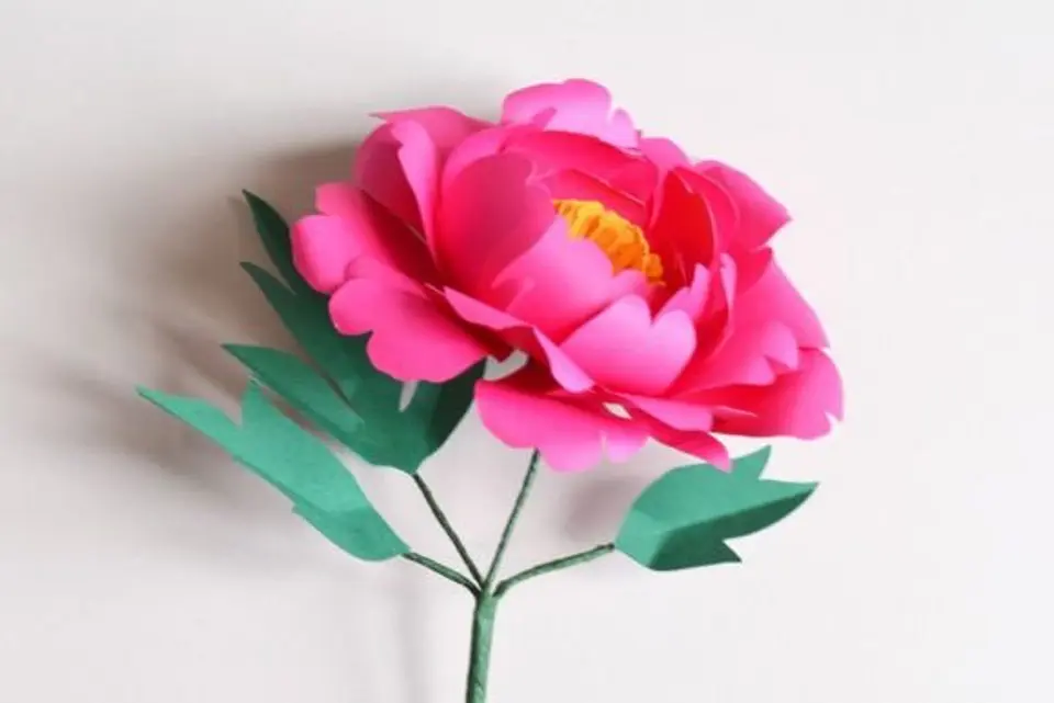 20 Moldes p/ Flores 15