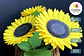 20 Moldes p/ Flores - Thumbnail 20
