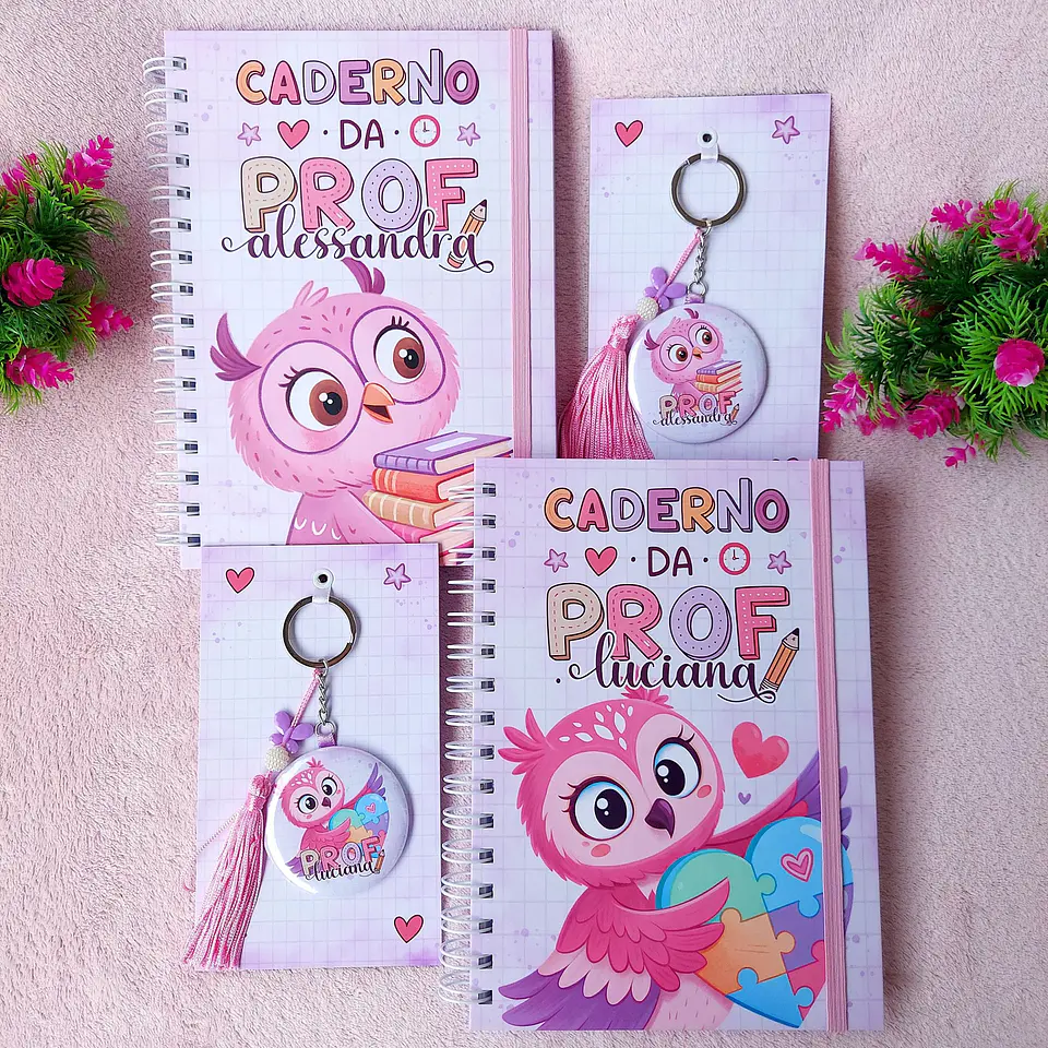 Arquivo Caderno Da Professora - Corujas 1