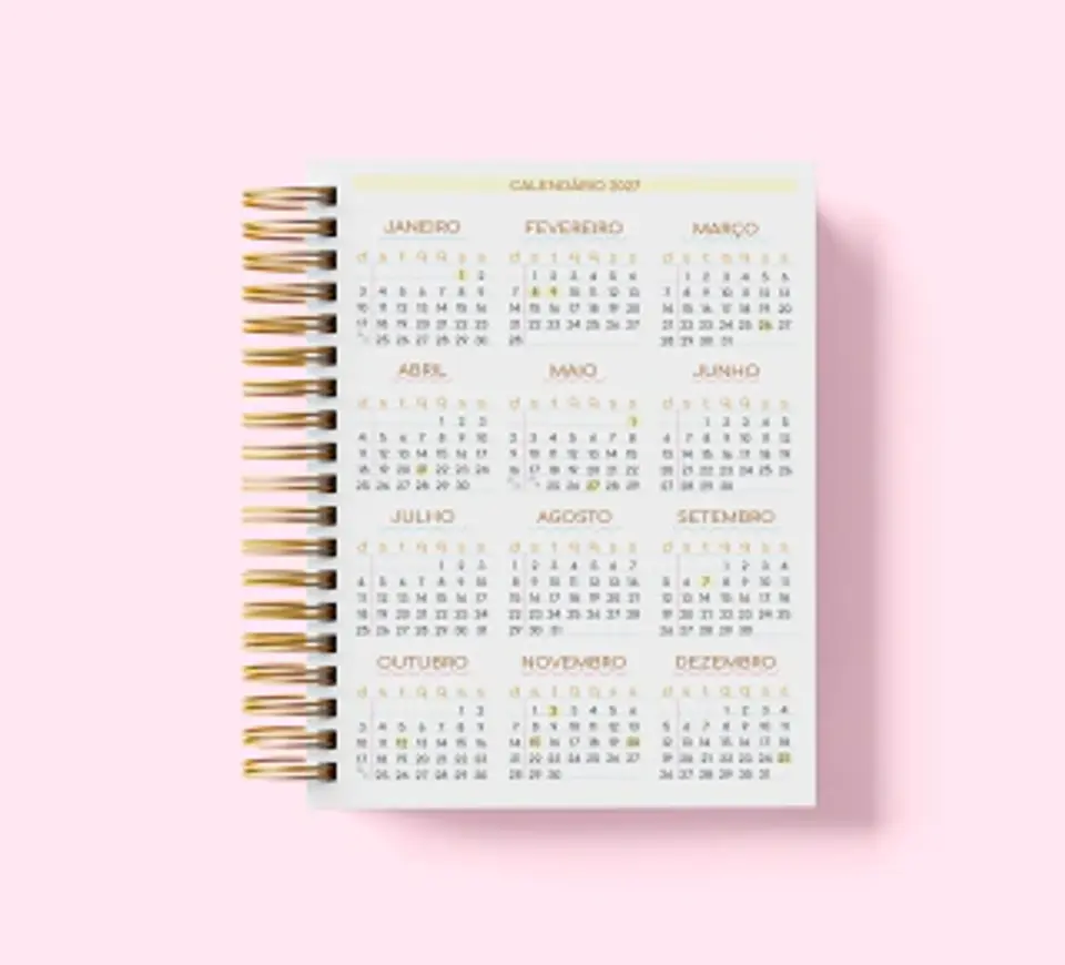 COMBO Agendamentos 2027 (Estúdio G19) 14