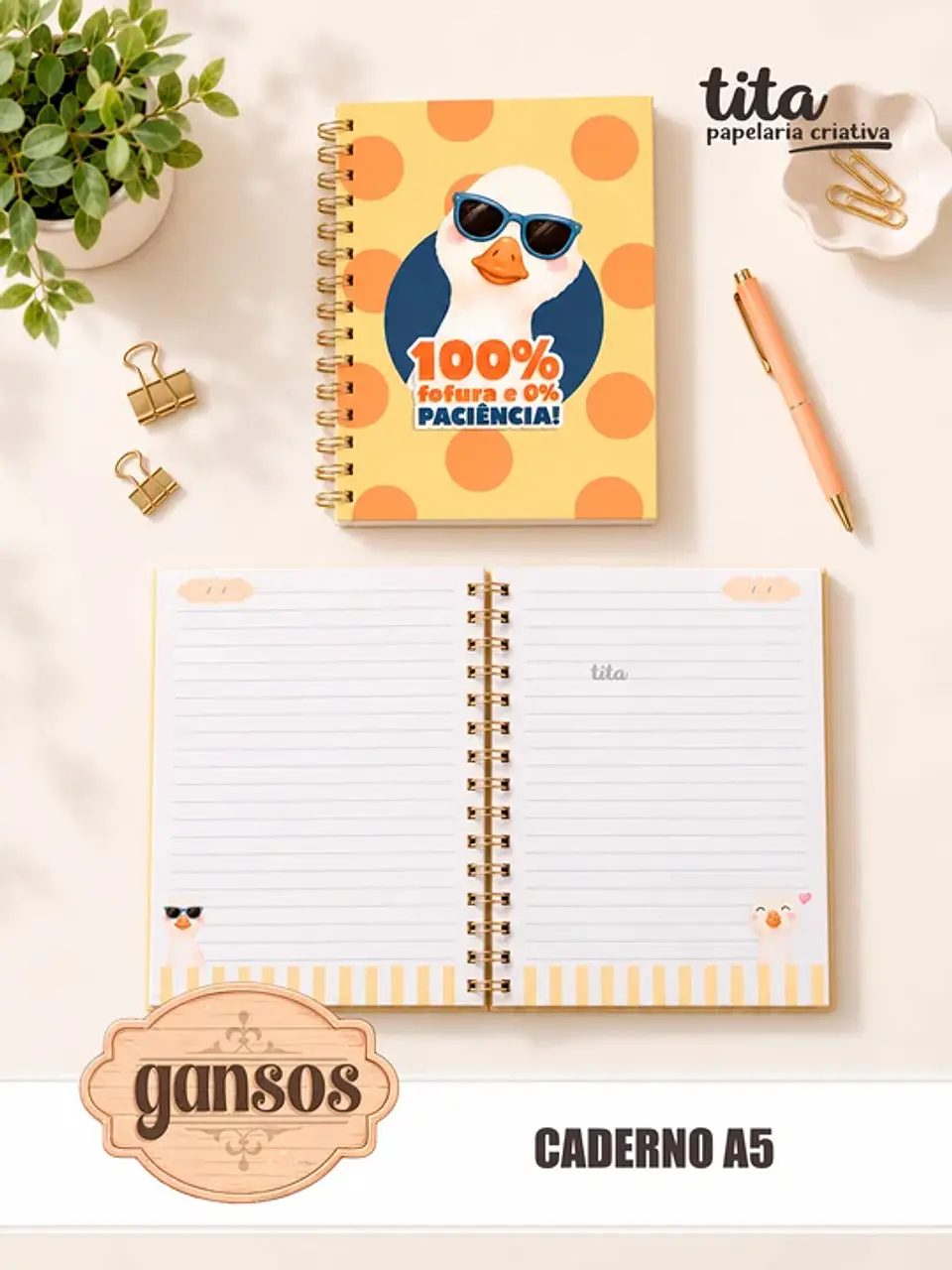 Gansos – Kit Encadernação 5
