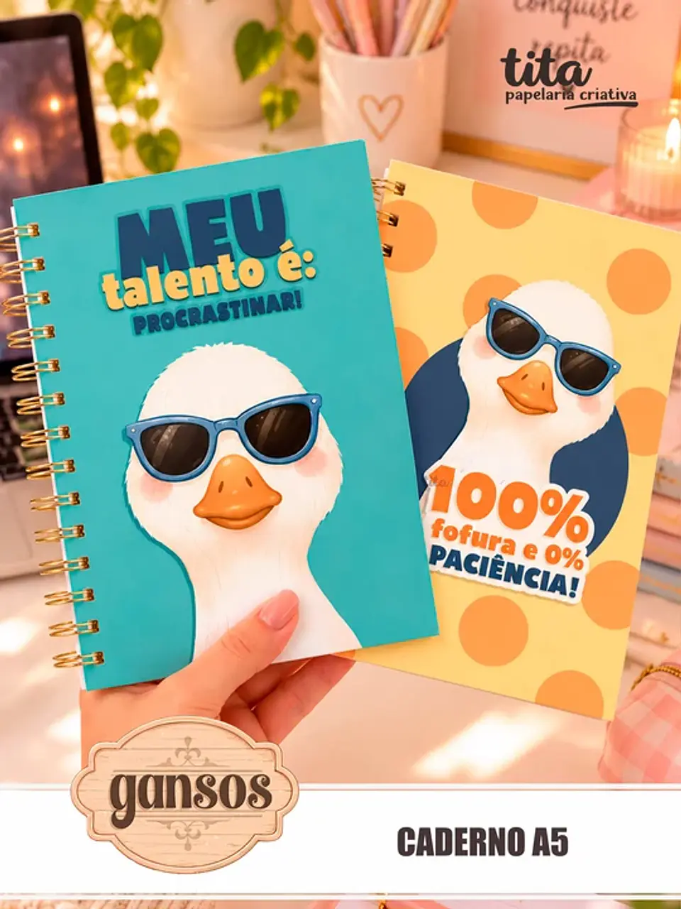 Gansos – Kit Encadernação 3