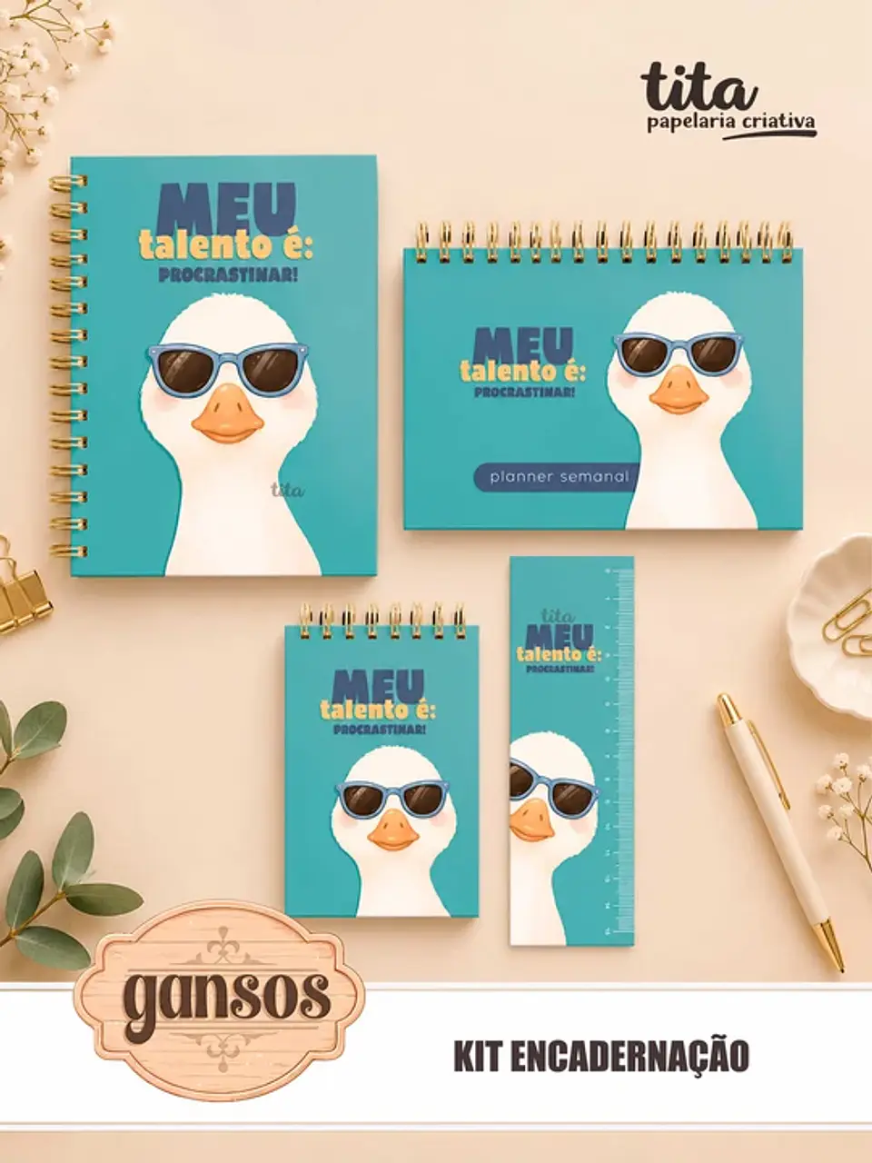 Gansos – Kit Encadernação 10