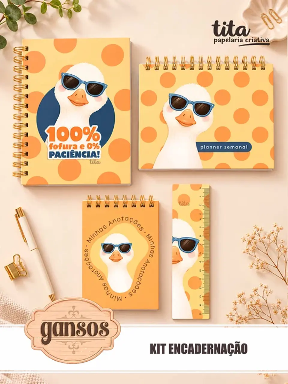Gansos – Kit Encadernação 11