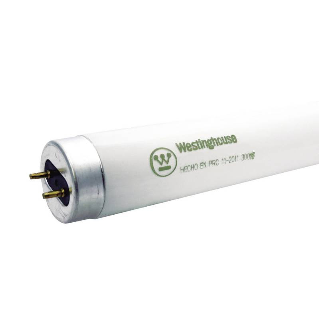 Tubo Fluorescente 36w T8 Westinghouse 1