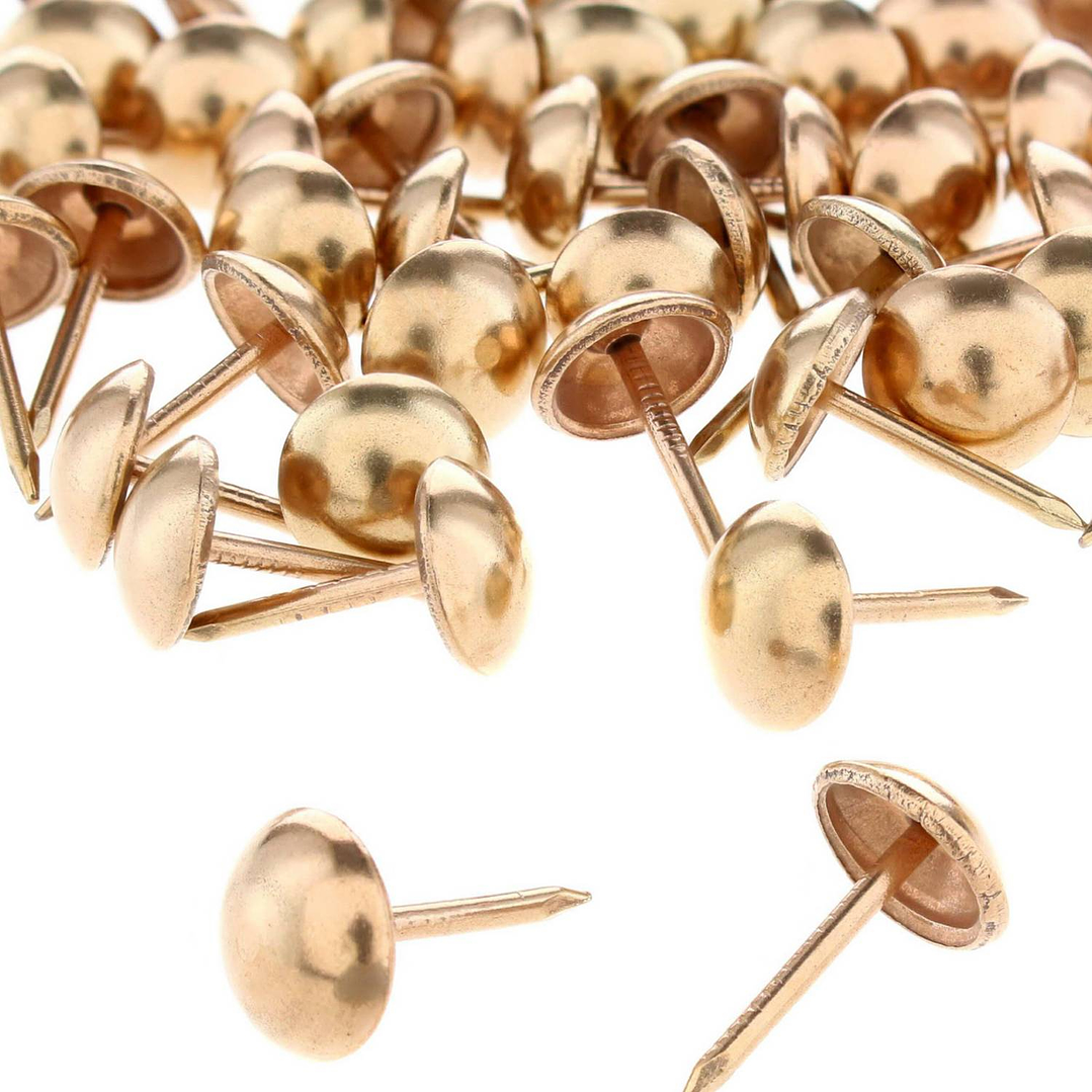 Chinche Tapiceria Bolsa 1