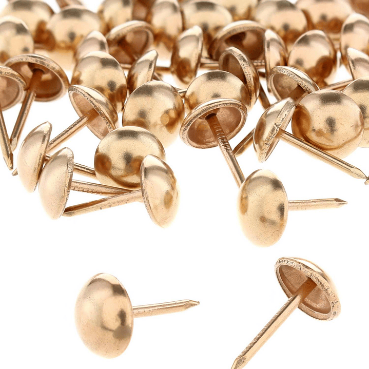 Chinche Tapiceria Bolsa 1