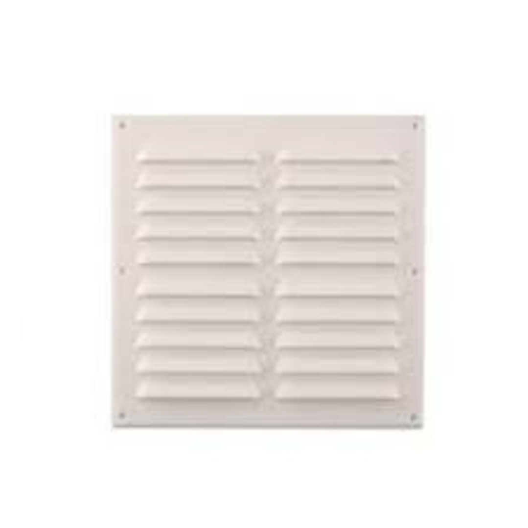 Celosia Vent. 15 X 15 Blanca 1