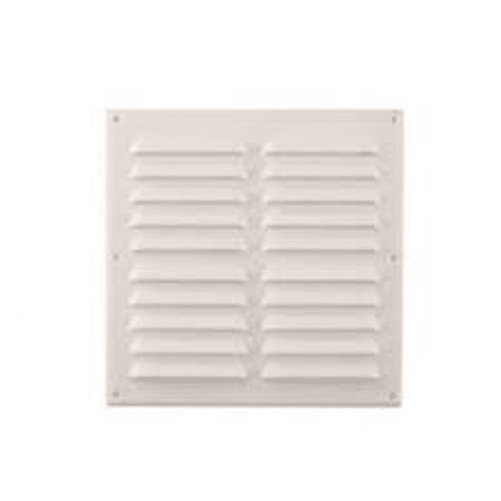 Celosia Vent. 15 X 15 Blanca 1