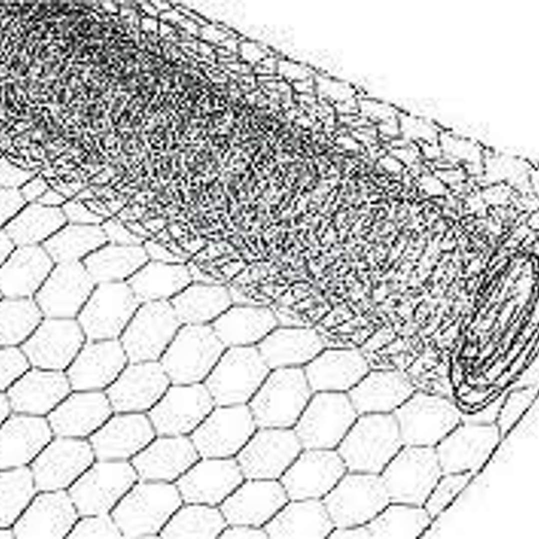 Malla Gallinero X 1mt 1