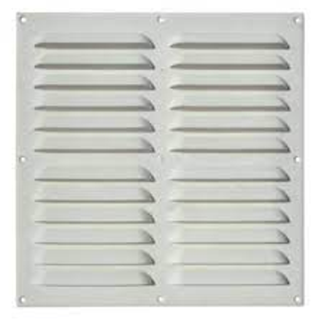 Celosia Vent. 30 X 30 Blanca 1