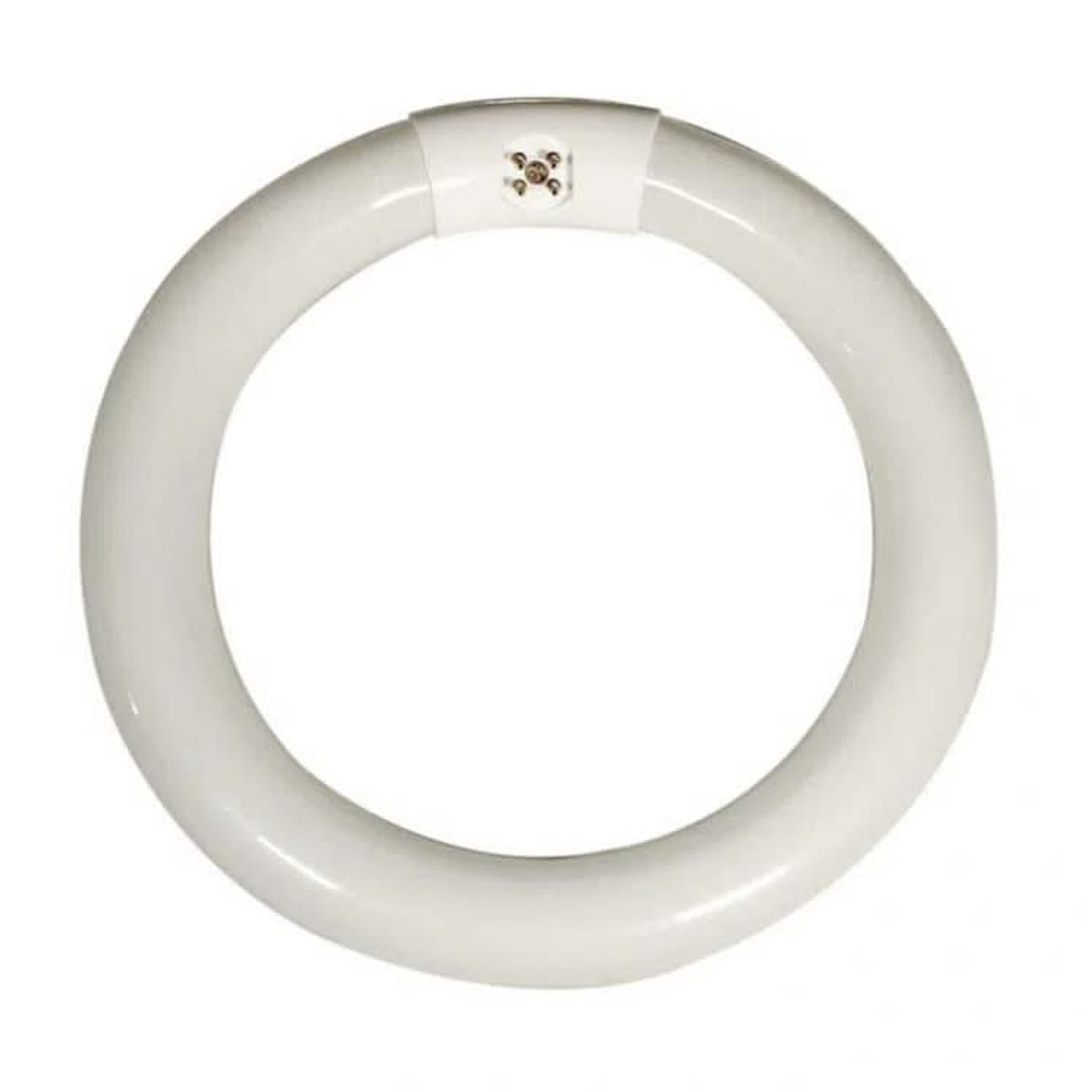 Tubo Circular 32w Westinghouse 1